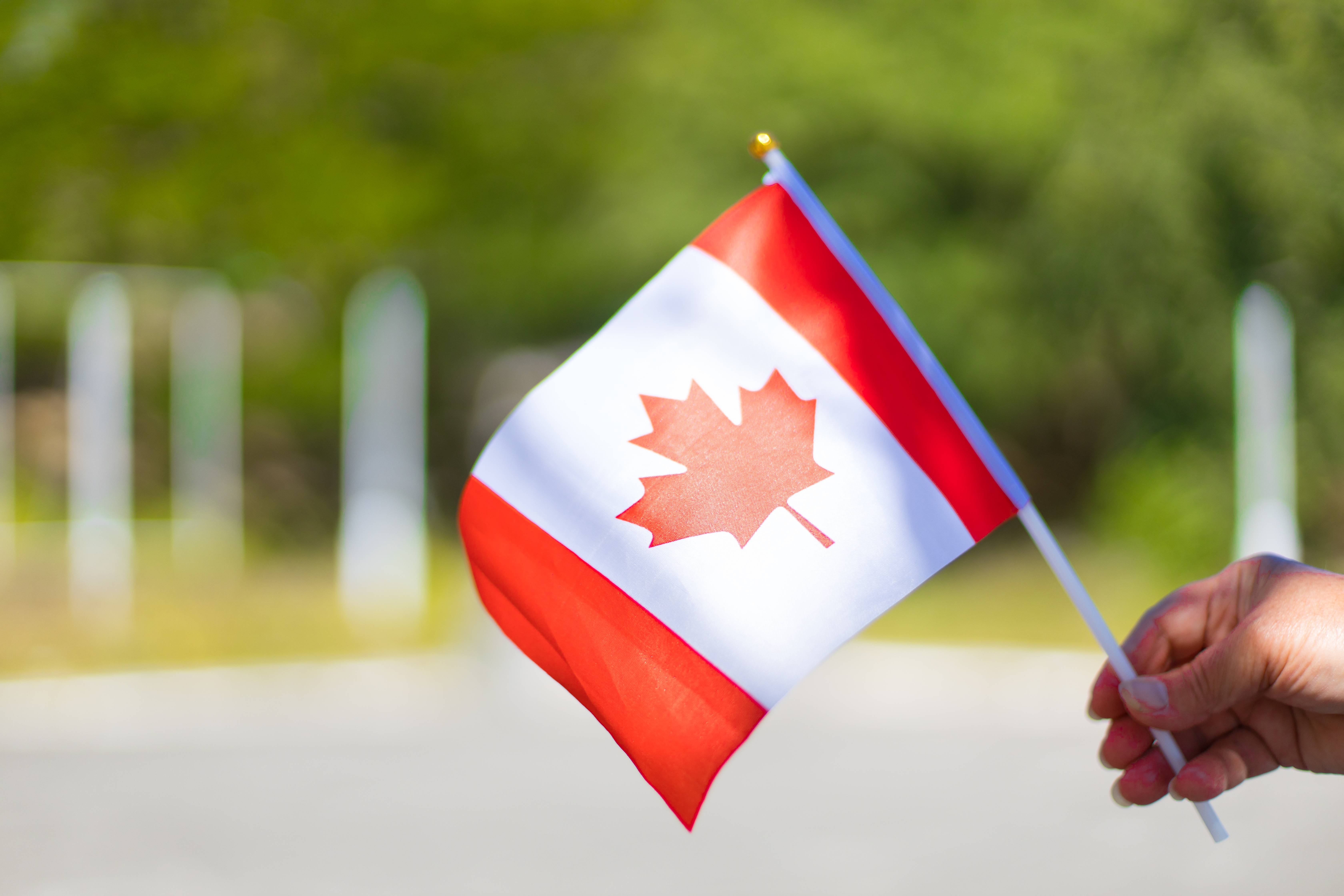 female-hand-holding-canadian-flag-to-celebrate-the-2023-11-27-05-13-29-utc